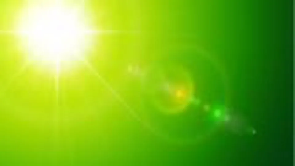 Professionelle Logistik – Lagerhalle mit Paletten